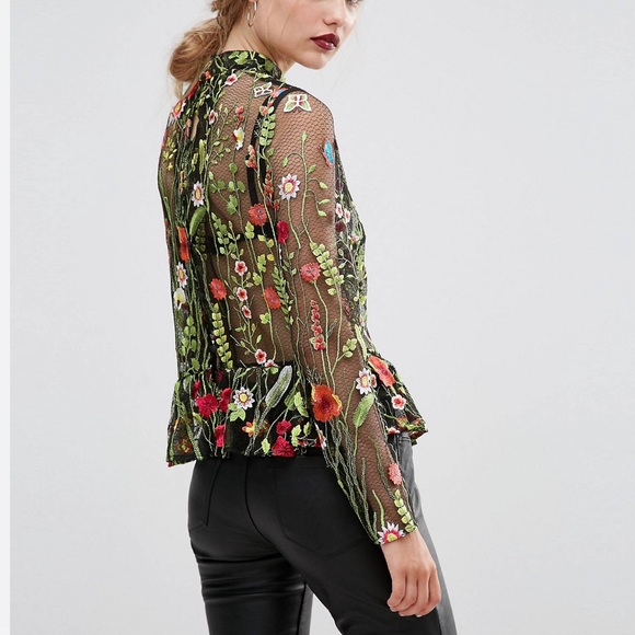 ASOS premium embroidered mesh blouse - Picture 3 of 16